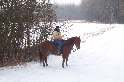 Ausritt im Neuschnee