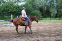 Spin nur mit Sattel und Neckrope 